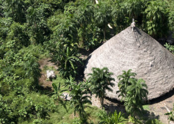 PL 490/2007: Demarcação das Terras Indígenas, fixação do Marco Temporal e supressão da competência do Poder Executivo