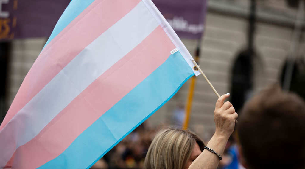 Direito dos transexuais à retificação do prenome e do sexo/gênero