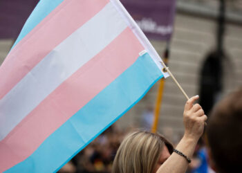 Direito dos transexuais à retificação do prenome e do sexo/gênero