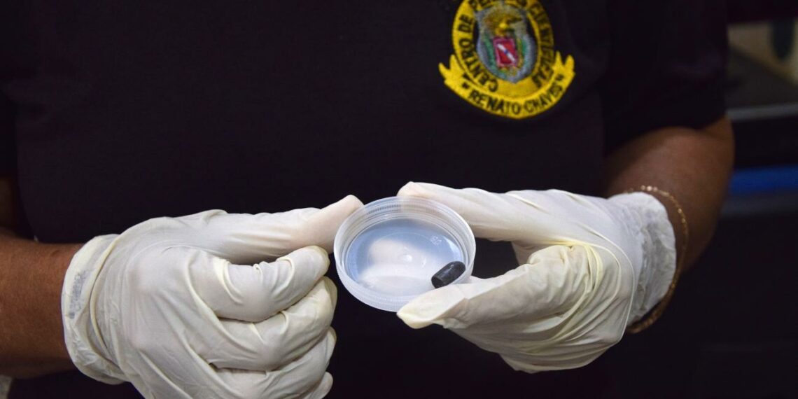 Responsabilidade civil estado disparo sem pericia