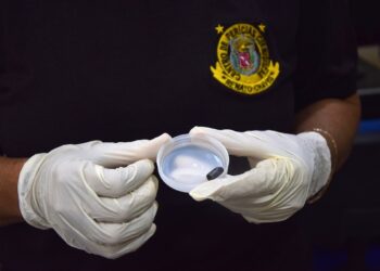 Responsabilidade civil estado disparo sem pericia