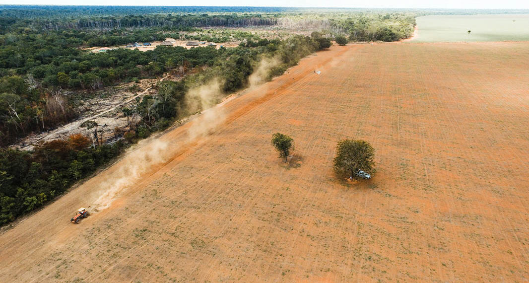 Natureza propter rem da obrigação ambiental, Súmula 623 do STJ e desapropriação.