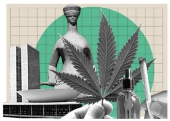 Principais aspectos da decisão do STF no RE 635659 sobre o porte de maconha para consumo pessoal