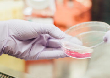 Legalidade da coleta obrigatória de DNA de condenados é confirmada pelo STJ