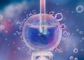 A presunção de filiação em casos de inseminação artificial e união estável