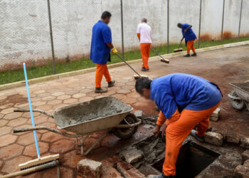 Remição de pena e trabalho autônomo: entendimento do STJ sobre a necessidade de supervisão
