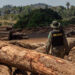 A cooperação federativa na fiscalização ambiental: entre prevalência e atuação supletiva