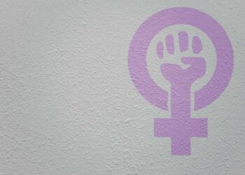 A expansão da Lei Maria da Penha pelo STF: proteção a relações homoafetivas e mulheres trans