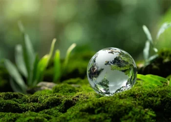 A nova lei geral de licenciamento ambiental: entre a eficiência administrativa e o retrocesso ecológico
