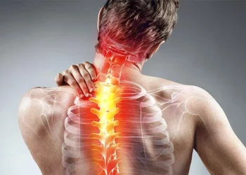 Fibromialgia como deficiência: a Lei nº 15.176/2025 e seus impactos no ordenamento brasileiro