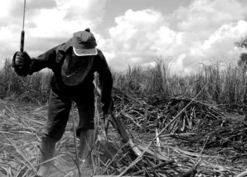 Escravidão contemporânea: quando se configura o crime do art. 149 do Código Penal